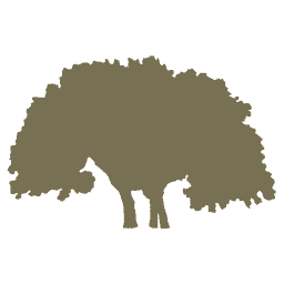 Compare Lodging 1 Favicon 1